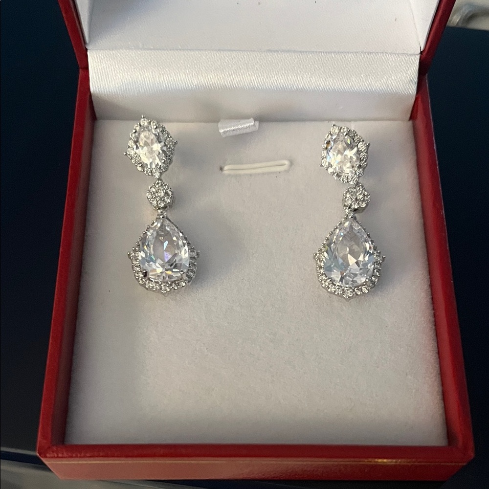 Elegant Silver Drop Earrings